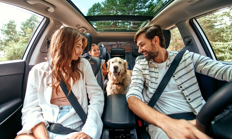 family and dog in car