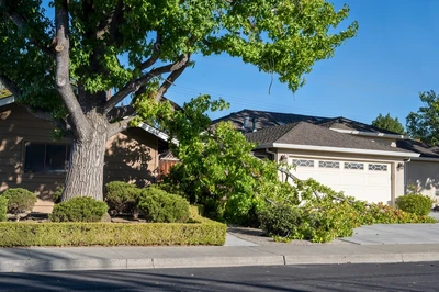 tree fallen against house