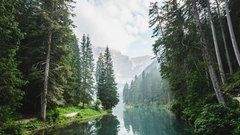 Calm forest lake reflecting evergreen trees with misty mountain peaks in the distance, and no people, boats, logos, or readable text.