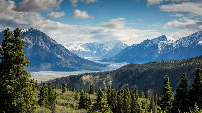 Snow-capped mountain range above a forested river valley under a blue sky, with no people, buildings, logos, or readable text.
