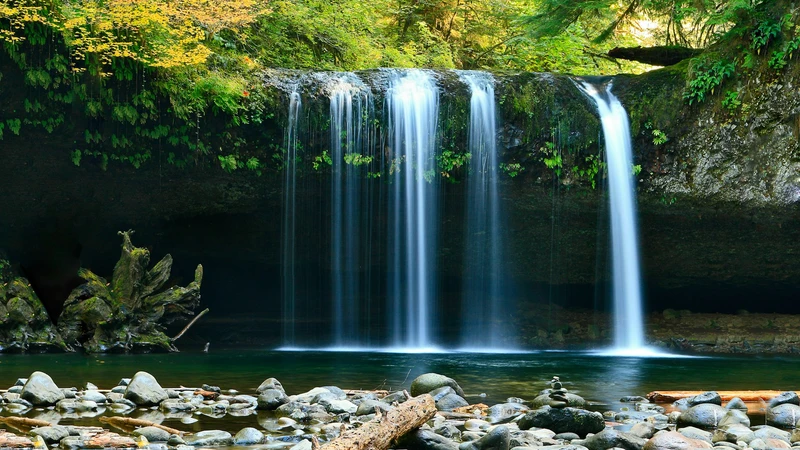 Wide forest waterfall over a mossy ledge into a dark pool, with no people, logos, or readable text.