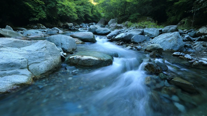 Calm river bend with wooded banks and no people, logos, or readable text.