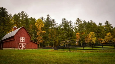 Red wooden barn beside a mowed green field, black fence and autumn trees, no people or text