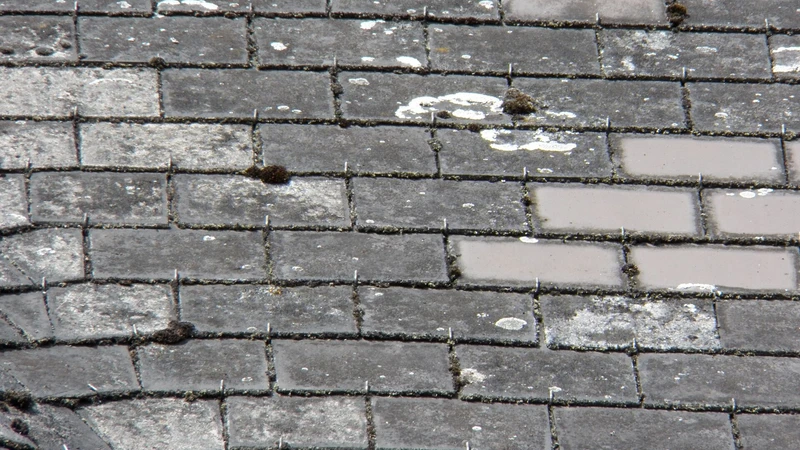 Rows of old gray slate roof tiles with patches of lichen