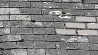 Rows of old gray slate roof tiles with patches of lichen